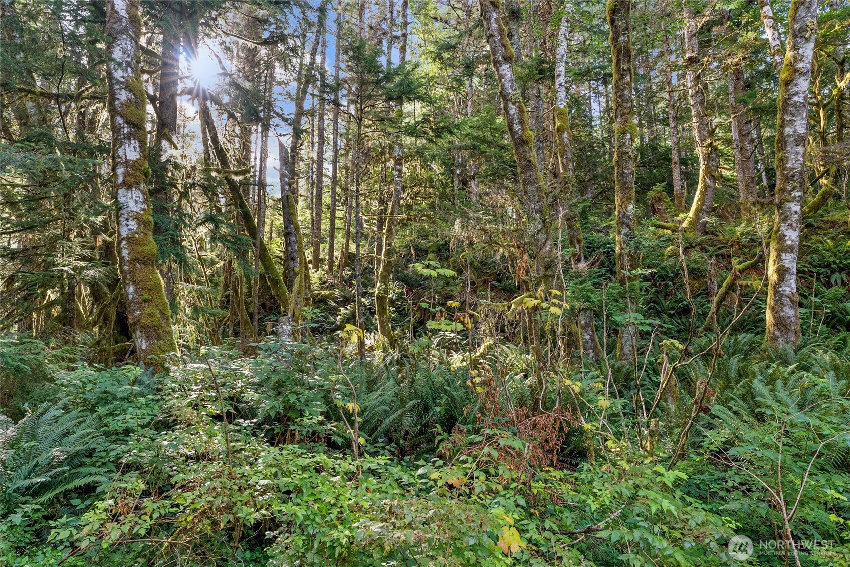 1 Skate Creek Road N