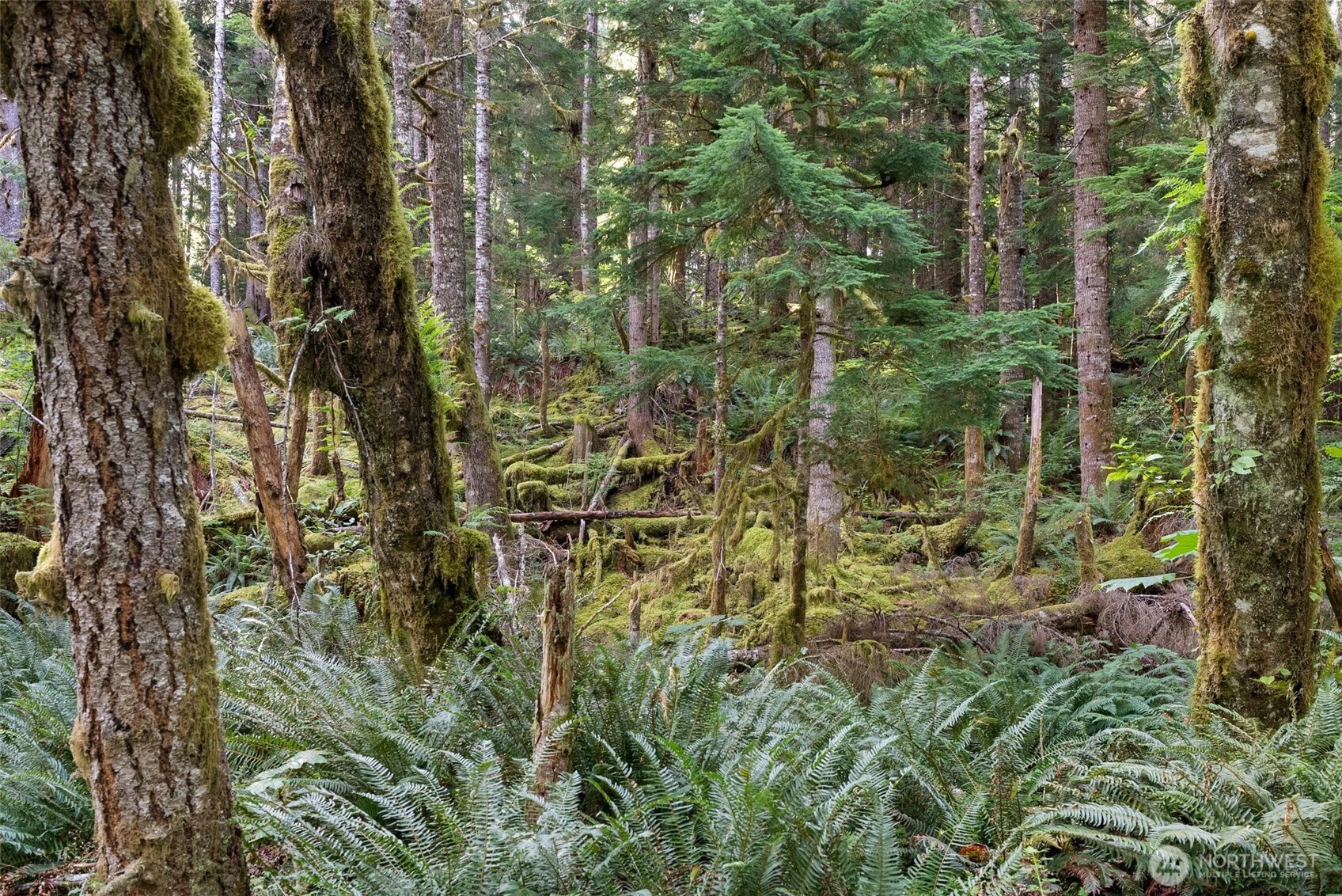 1 Skate Creek Road N