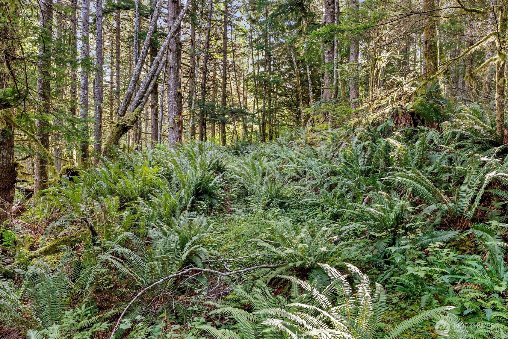 1 Skate Creek Road N