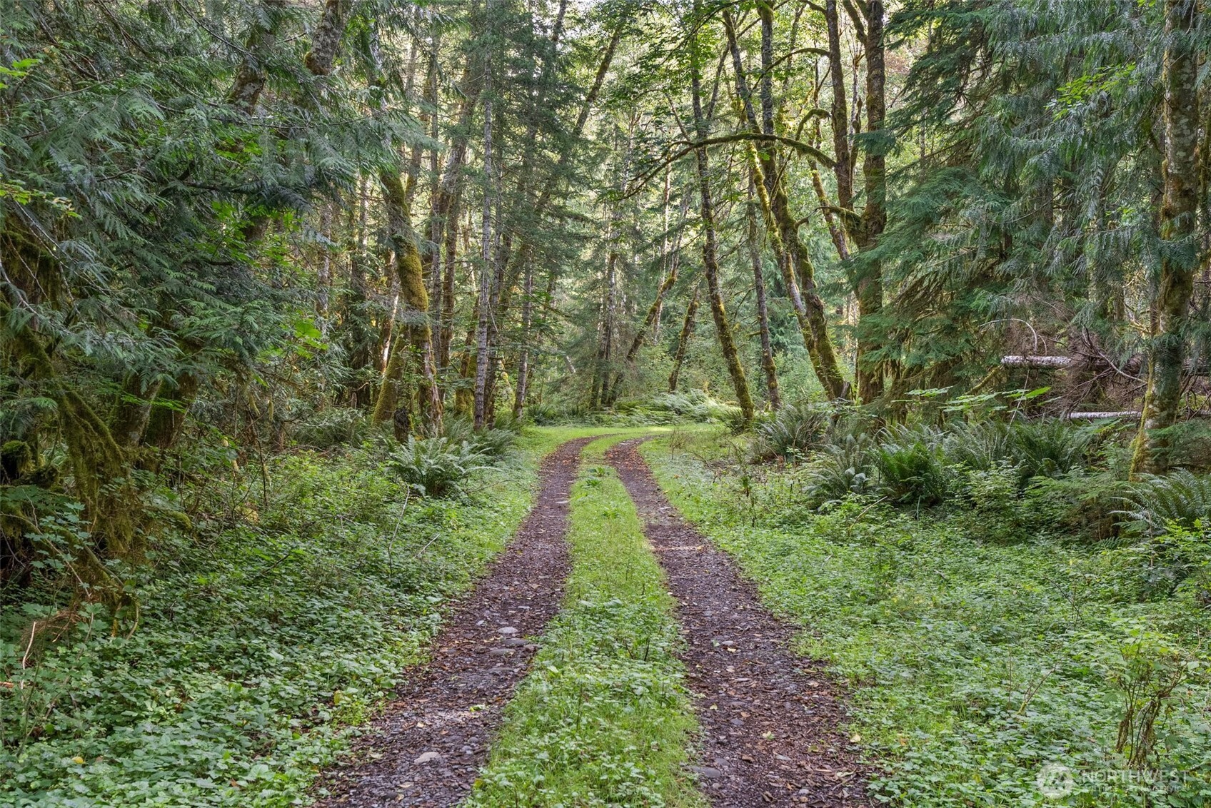 1 Skate Creek Road N