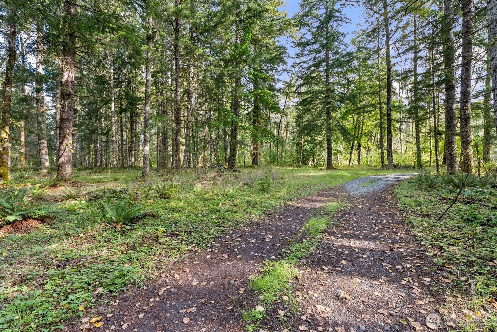 1 Skate Creek Road N