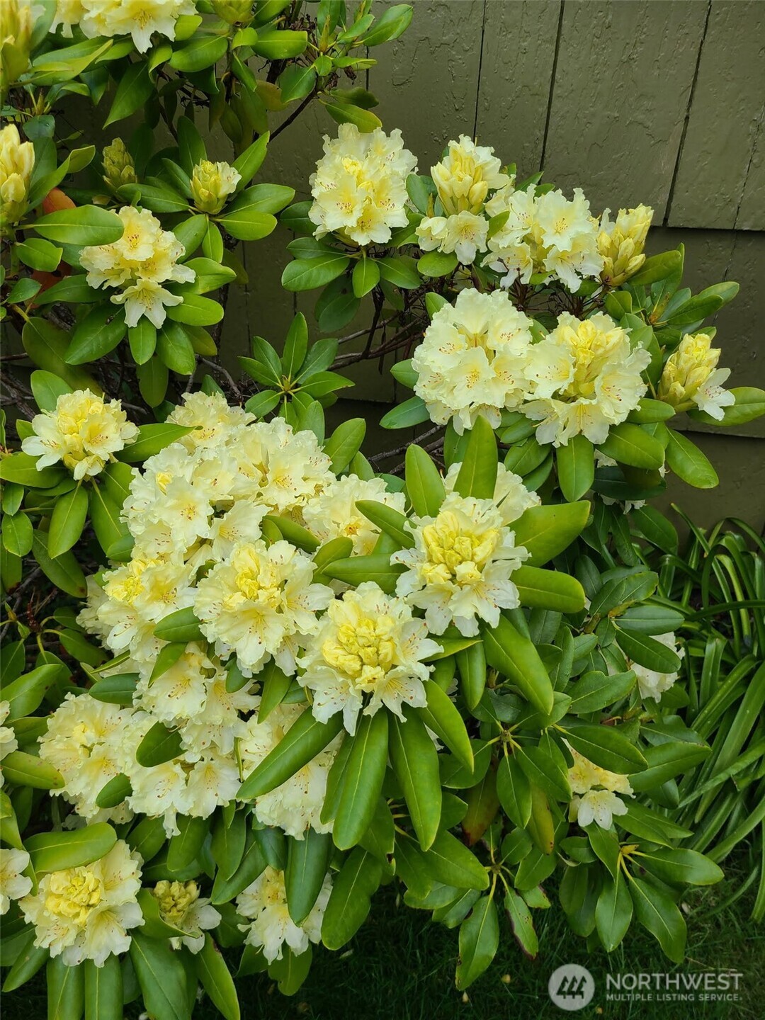 1912 Elliott Avenue NW