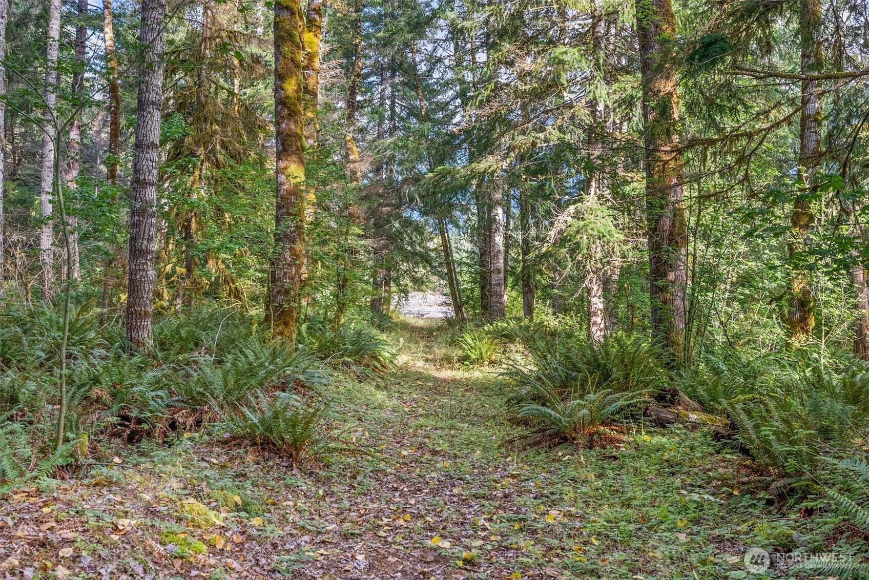1 Skate Creek Road N