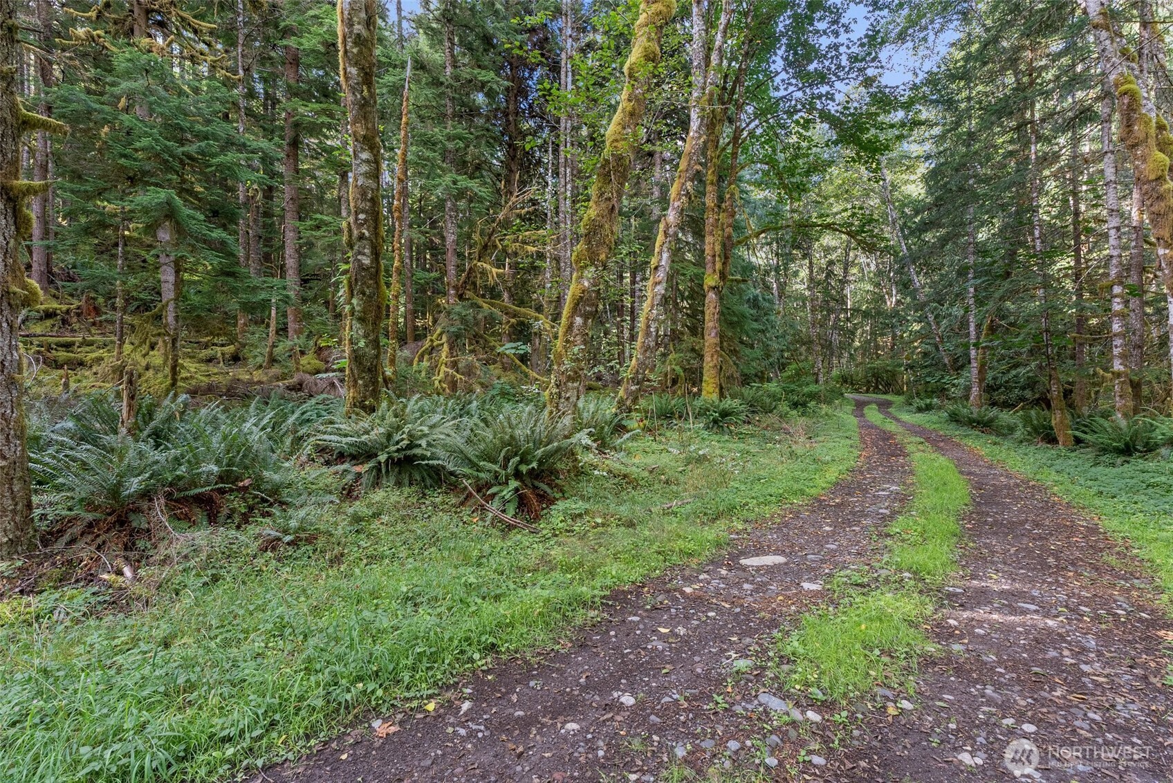 1 Skate Creek Road N