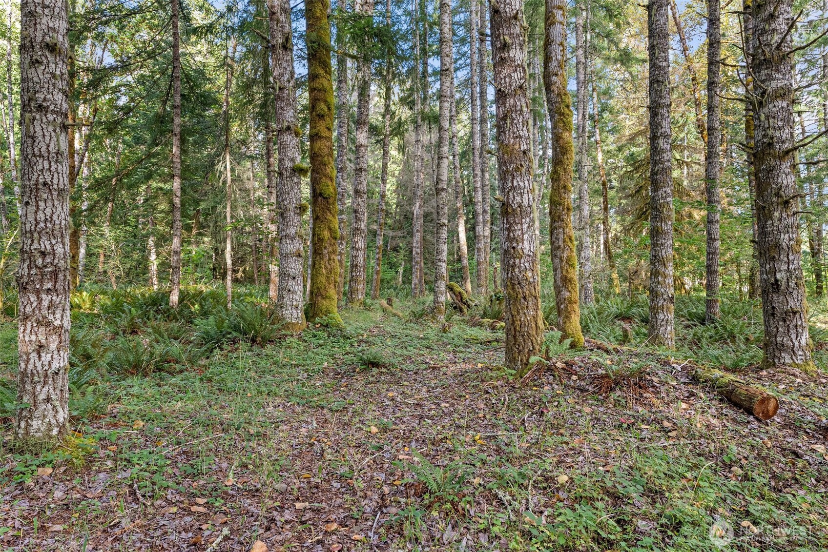 1 Skate Creek Road N