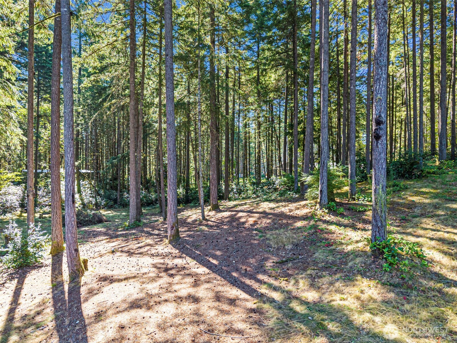 362 SW Ragle Court