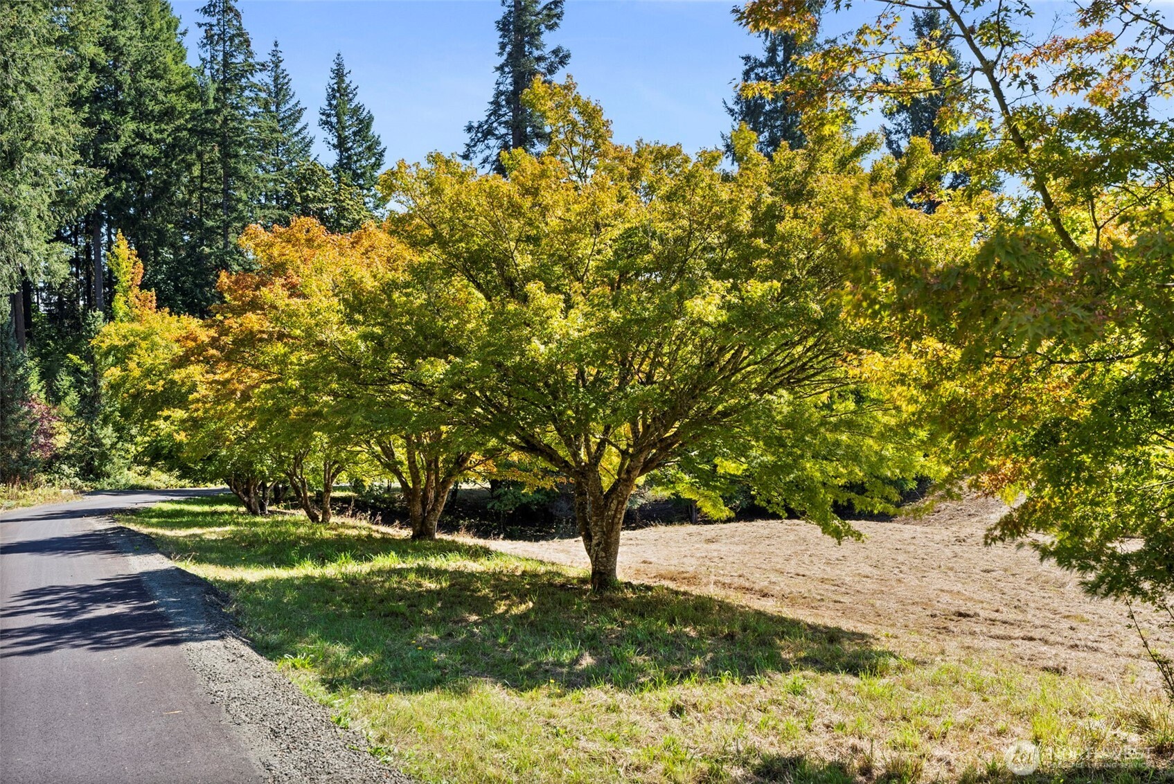 4130 40th Lane SW