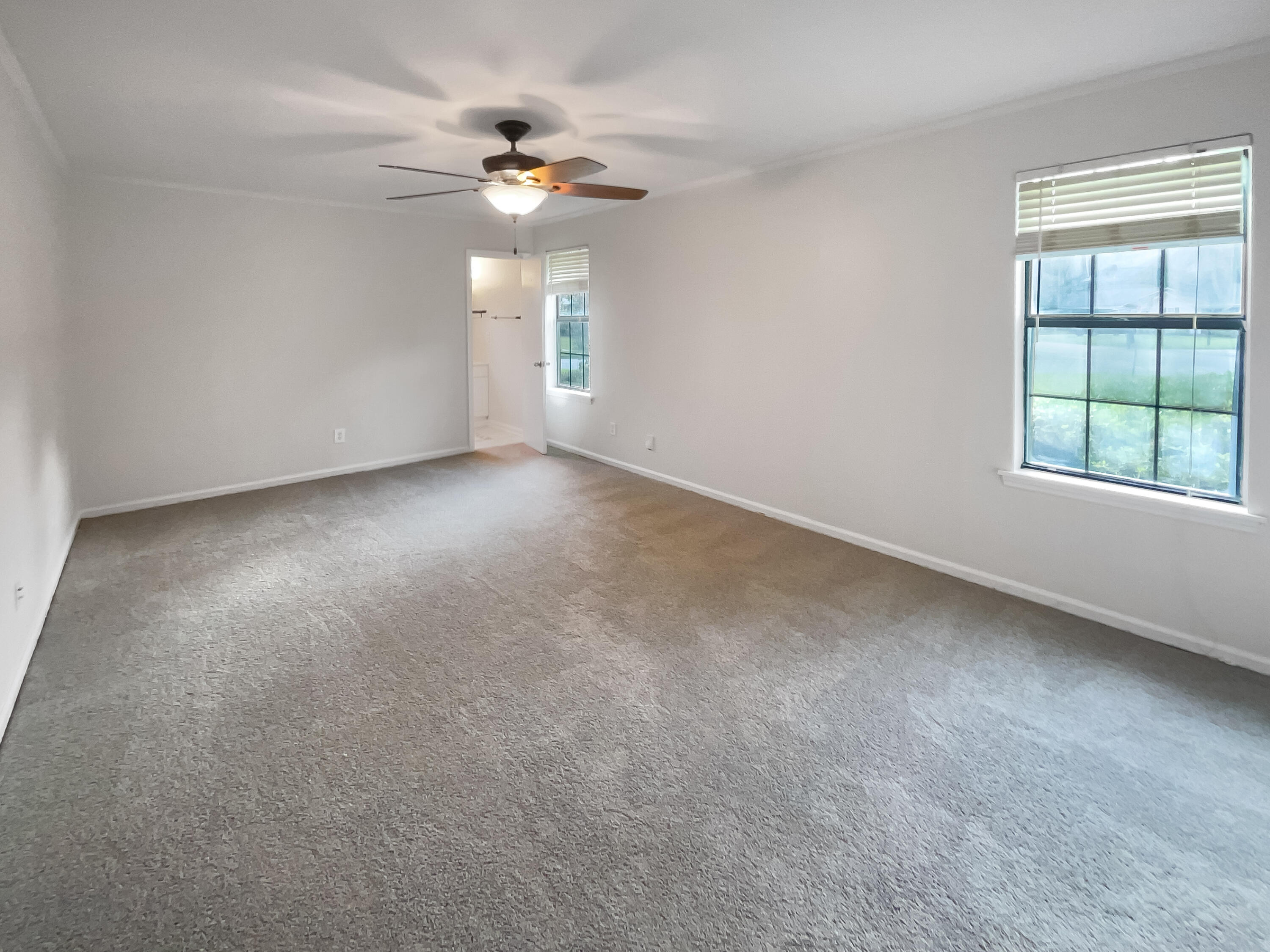 313 Vixen Boulevard