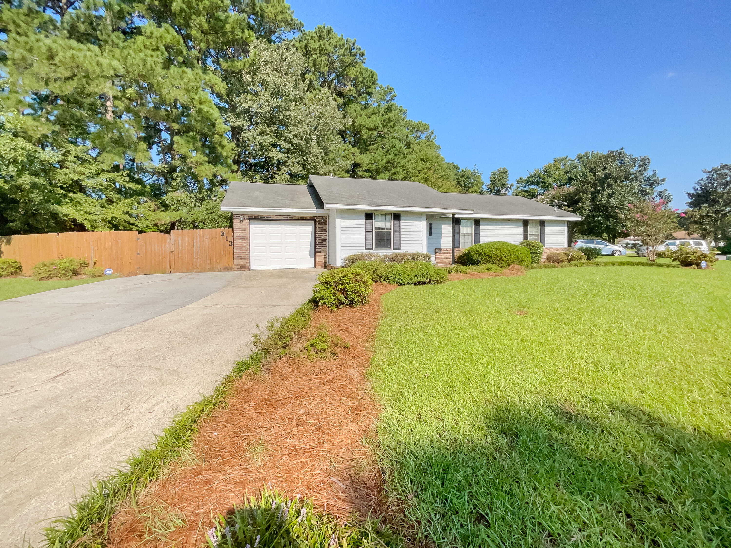 313 Vixen Boulevard