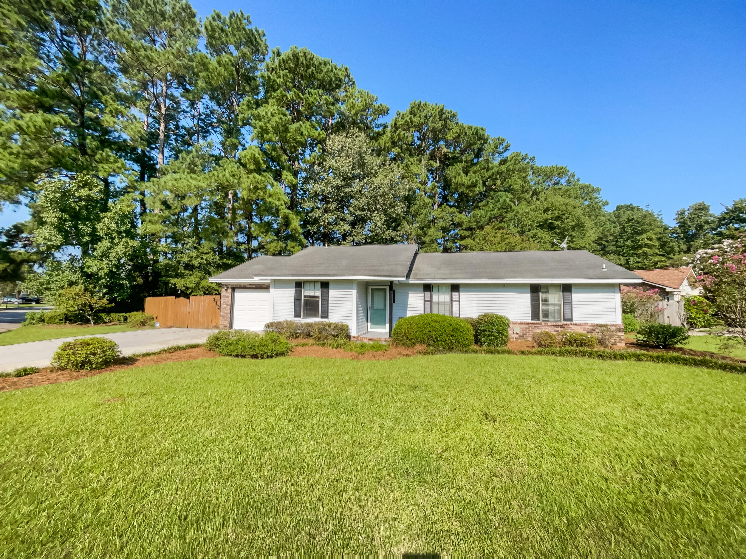 313 Vixen Boulevard