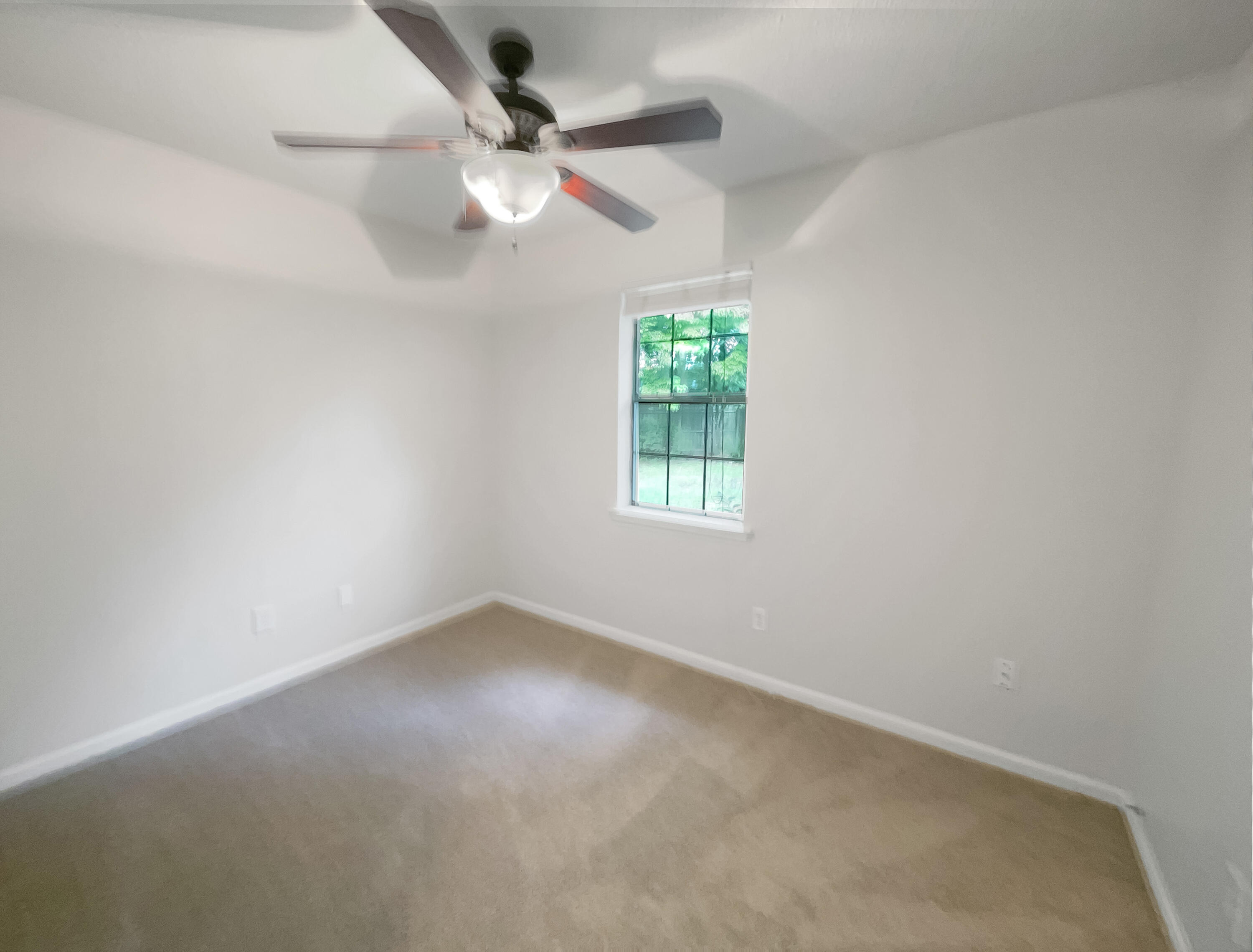 313 Vixen Boulevard