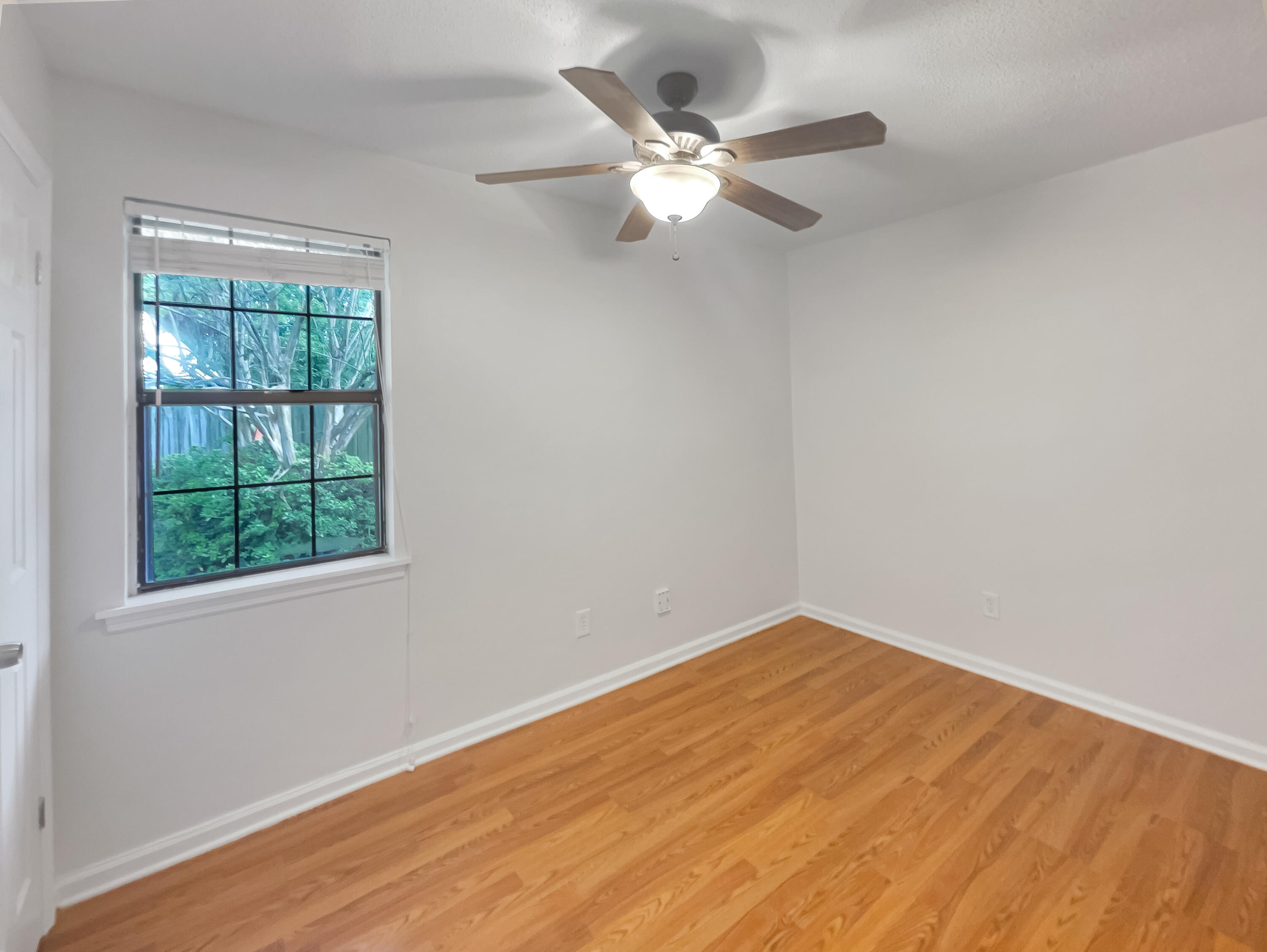 313 Vixen Boulevard