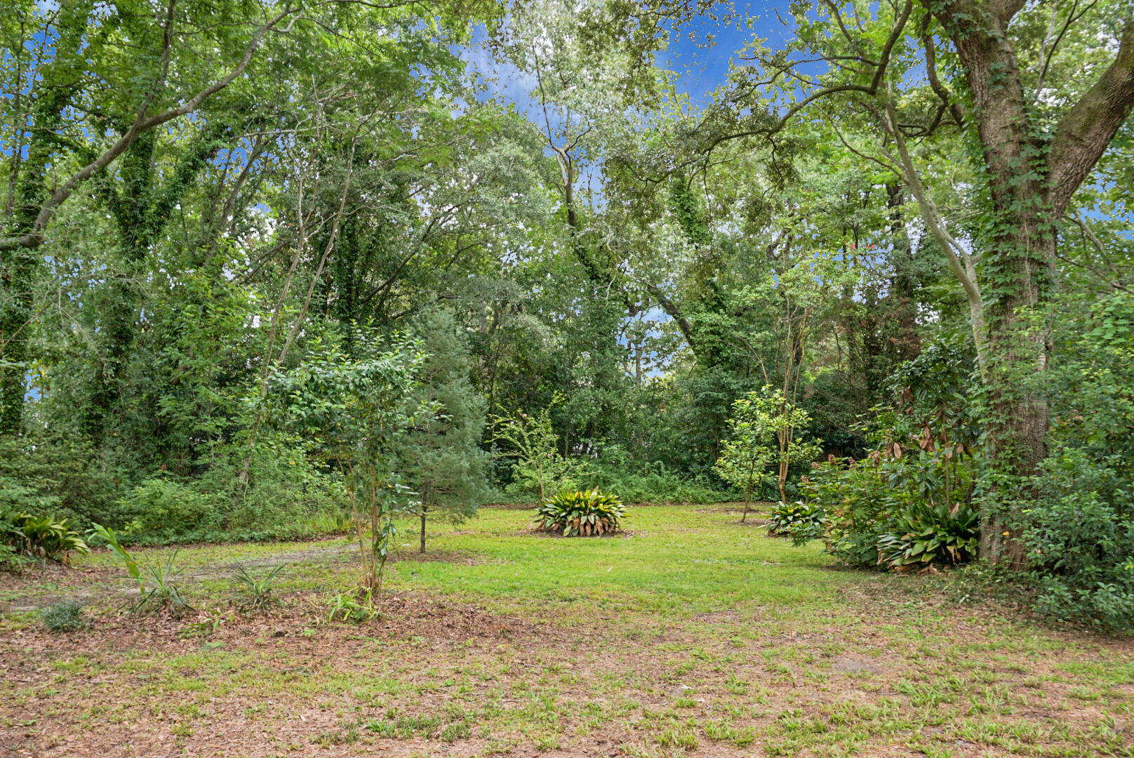 1015 Dennis Drive