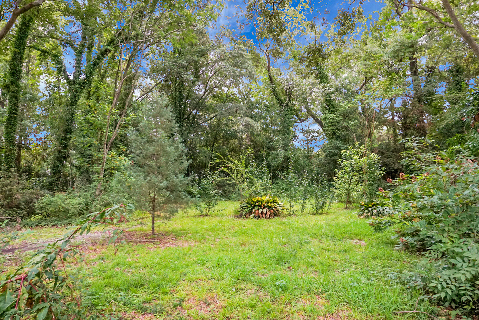 1015 Dennis Drive