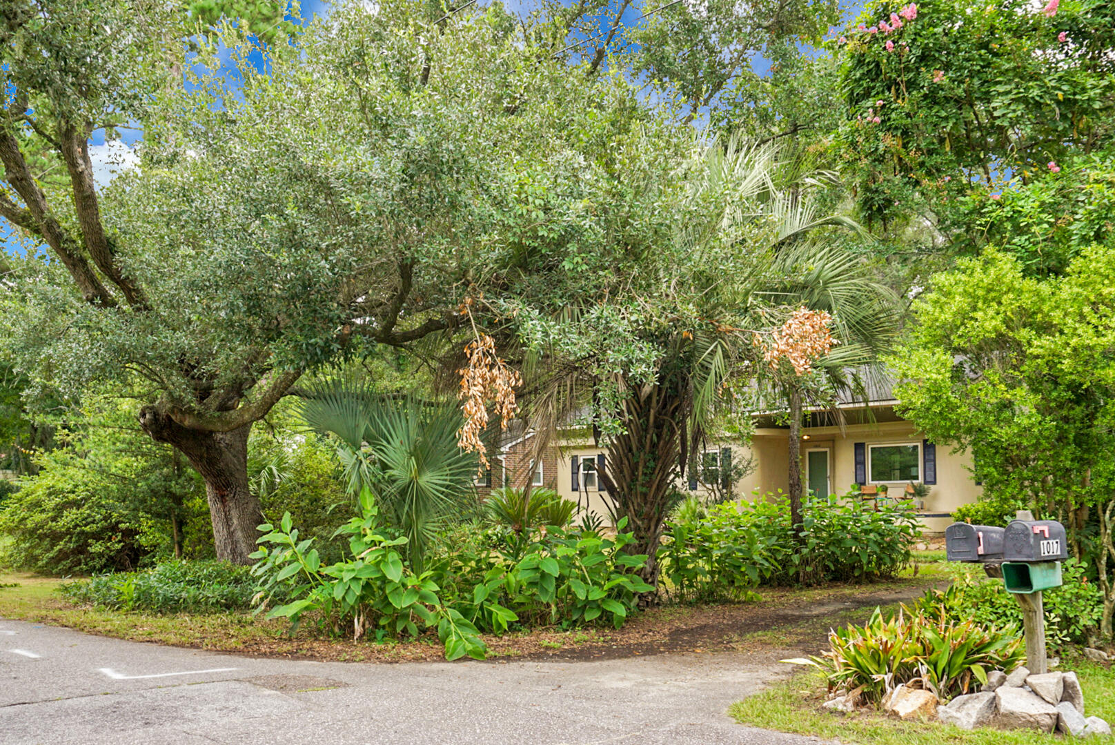 1015 Dennis Drive