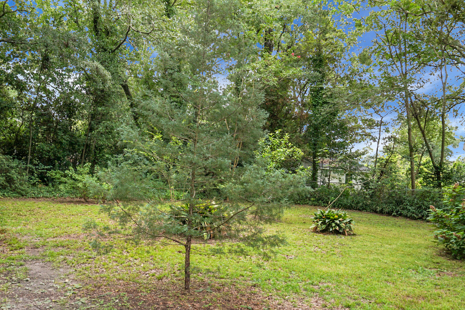 1015 Dennis Drive