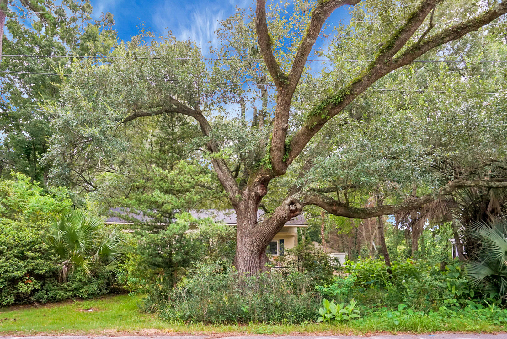 1015 Dennis Drive