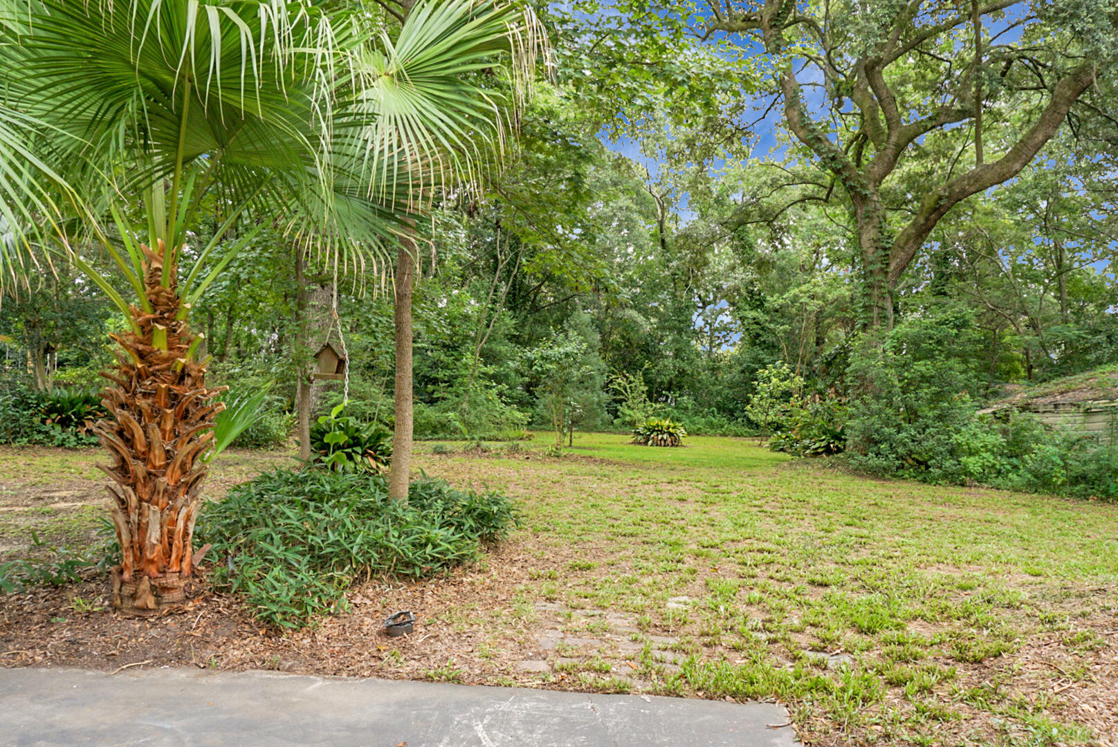 1015 Dennis Drive