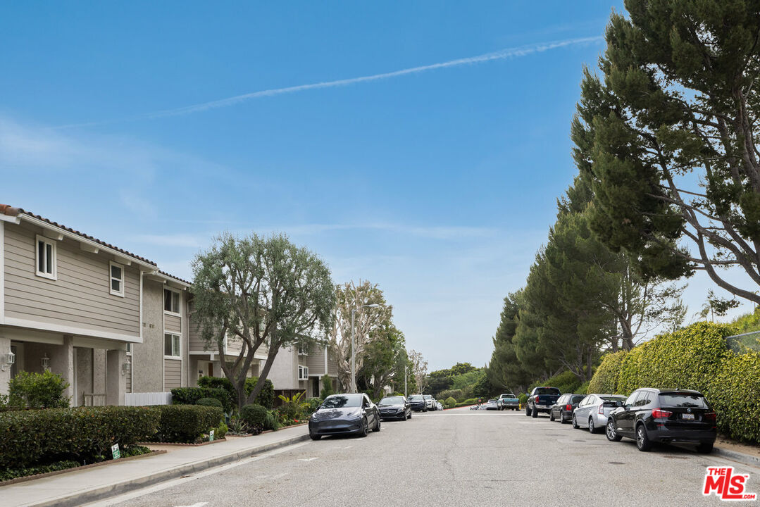 28226 Rey De Copas Ln