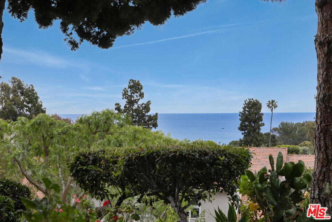 28226 Rey De Copas Ln