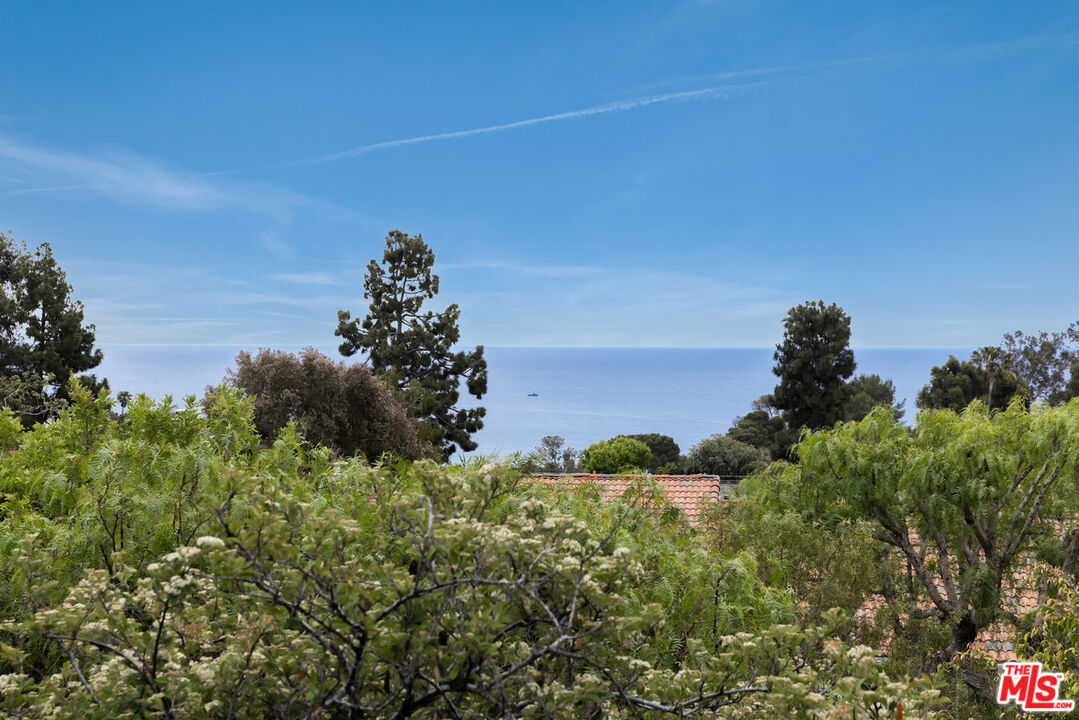 28226 Rey De Copas Ln