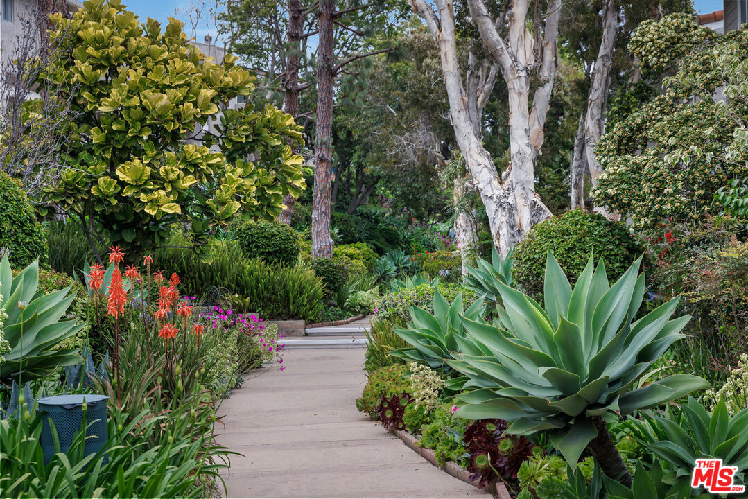 28226 Rey De Copas Ln