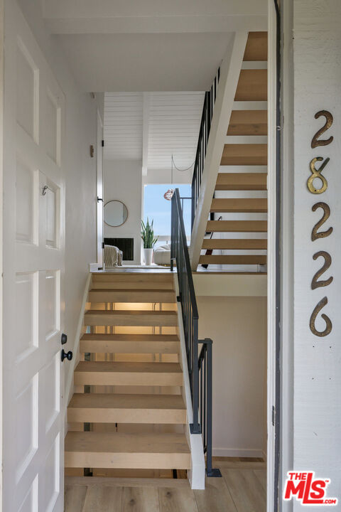 28226 Rey De Copas Ln