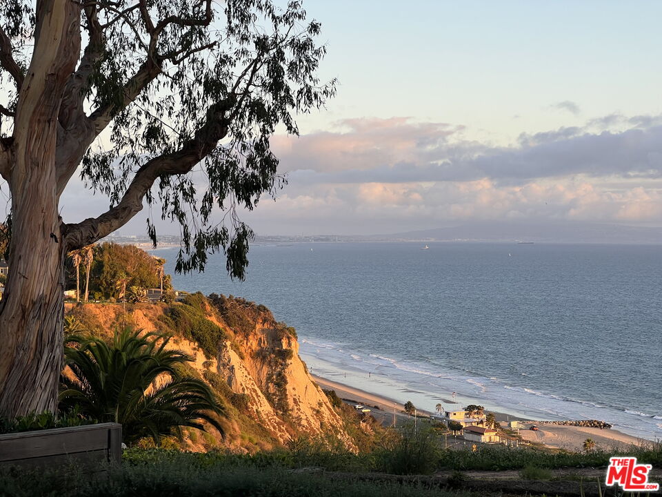 15419 Via De Las Olas