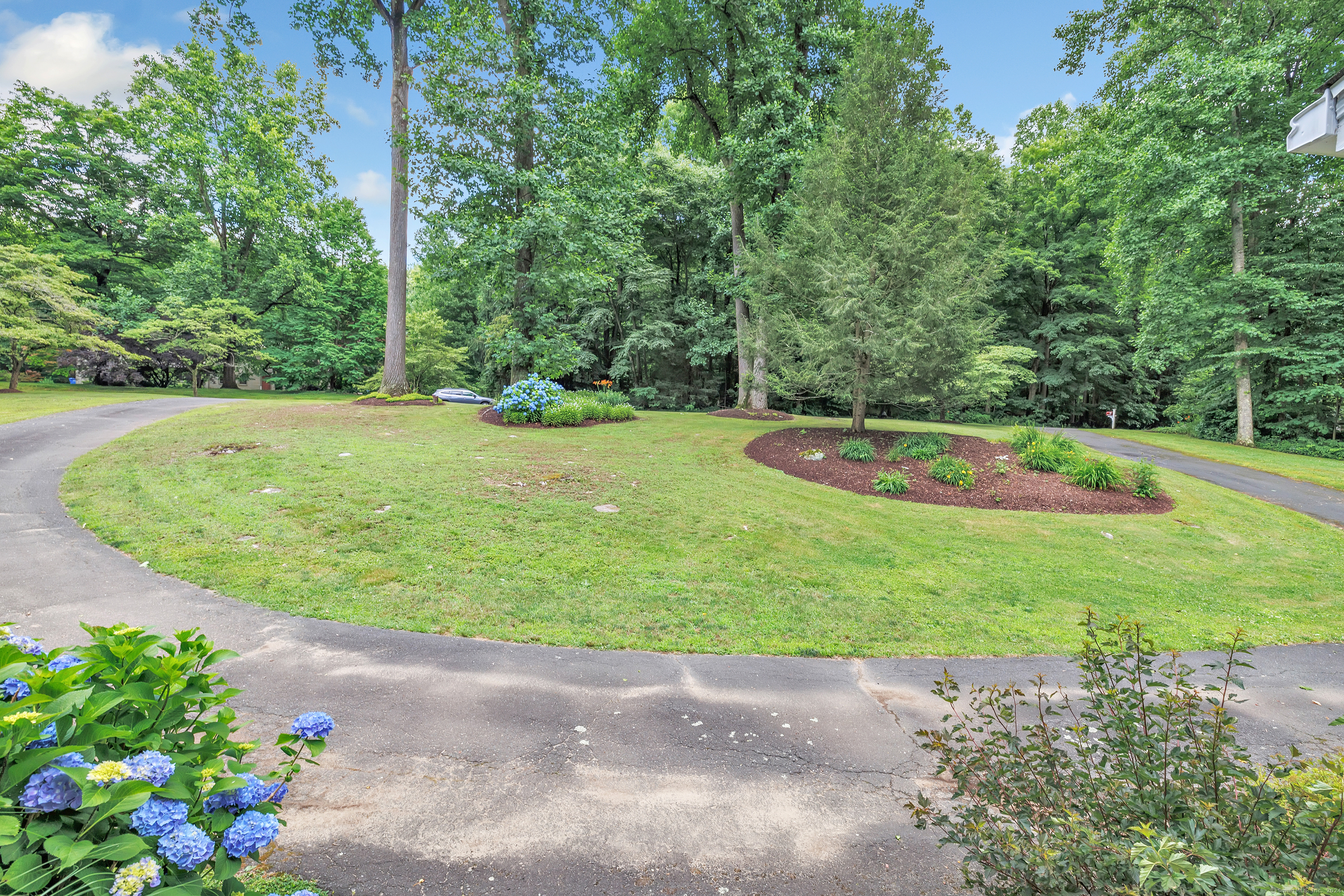 53 Holly Place