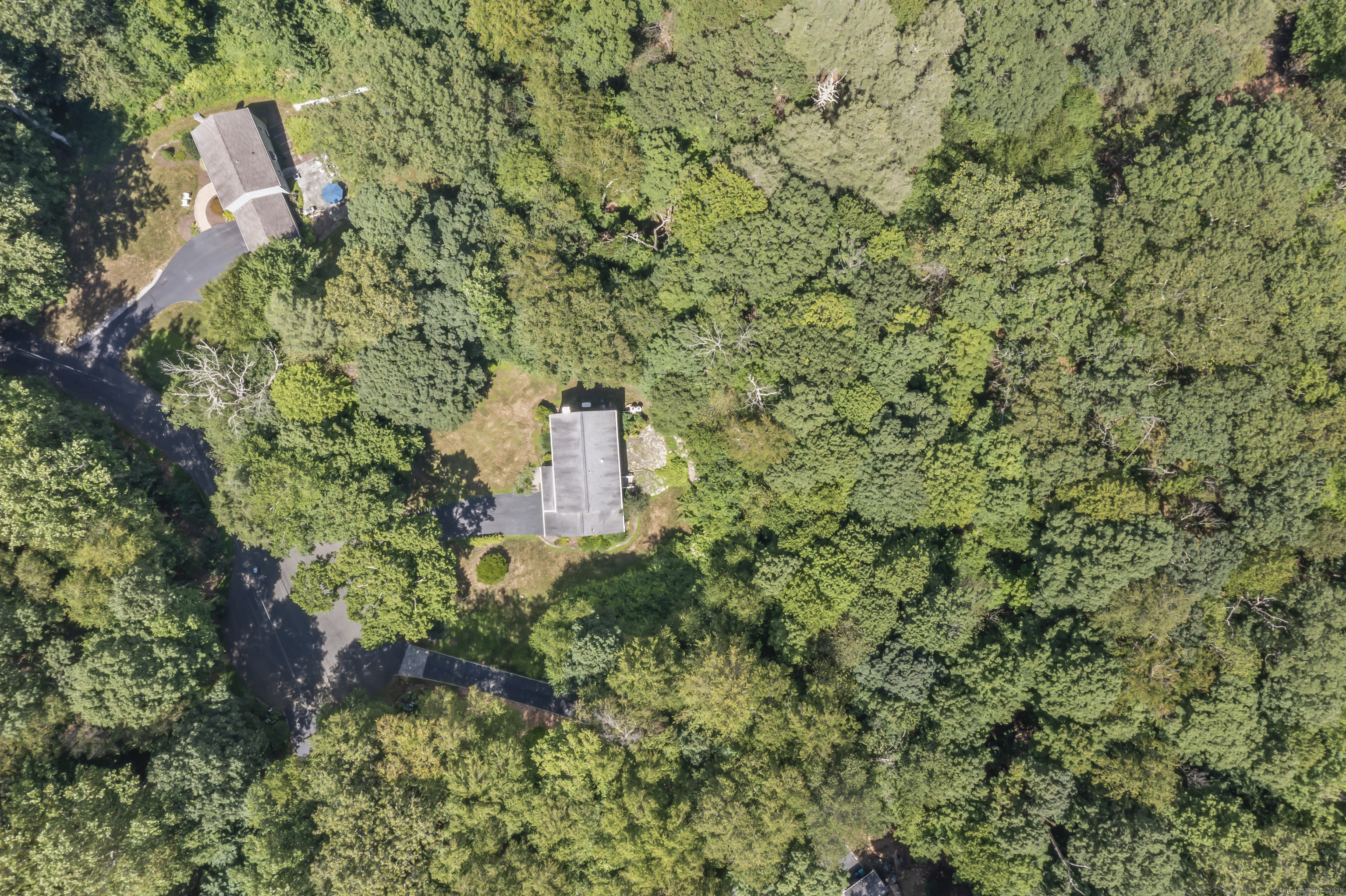 164 Tanglewood Lane