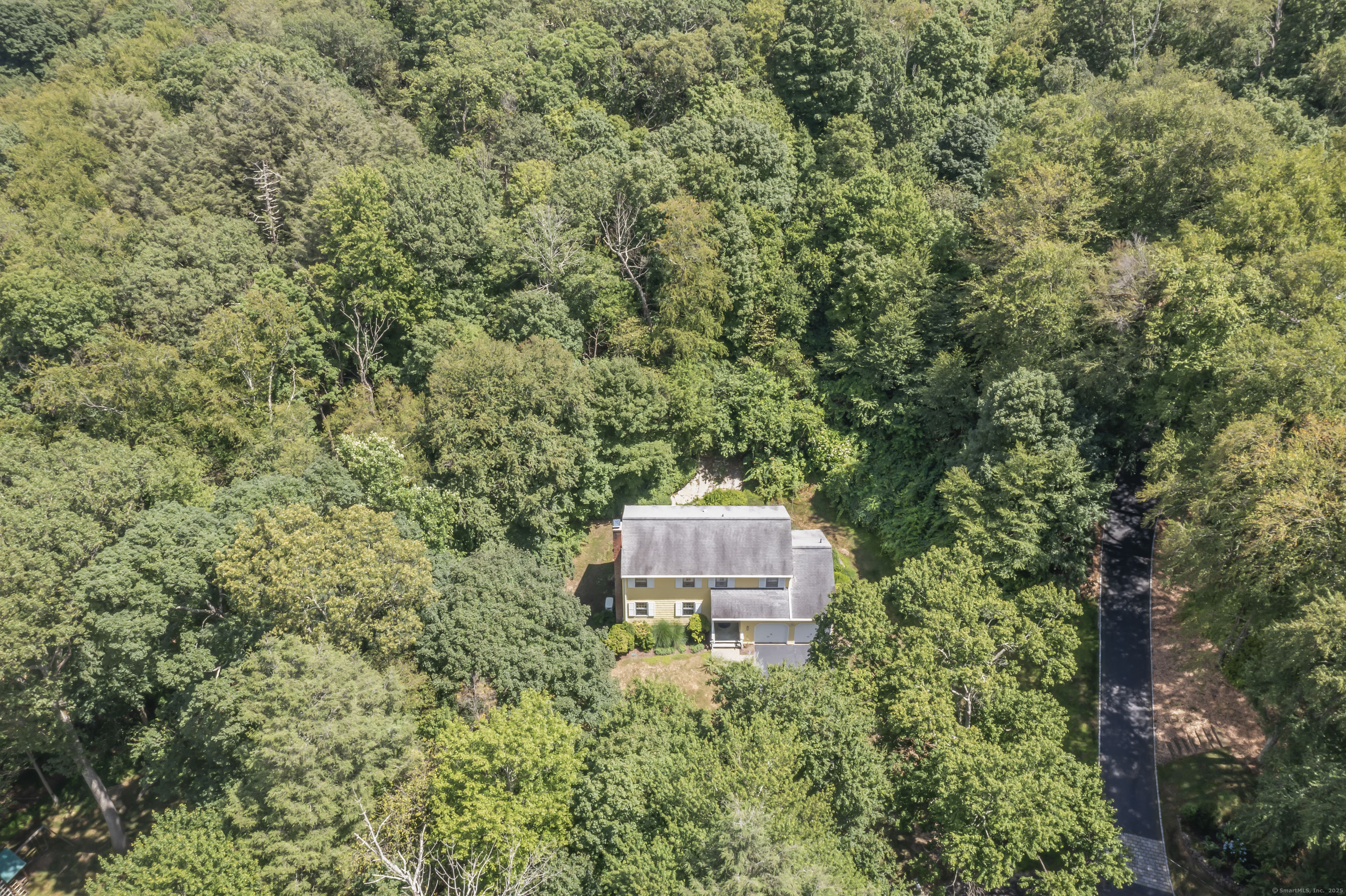 164 Tanglewood Lane