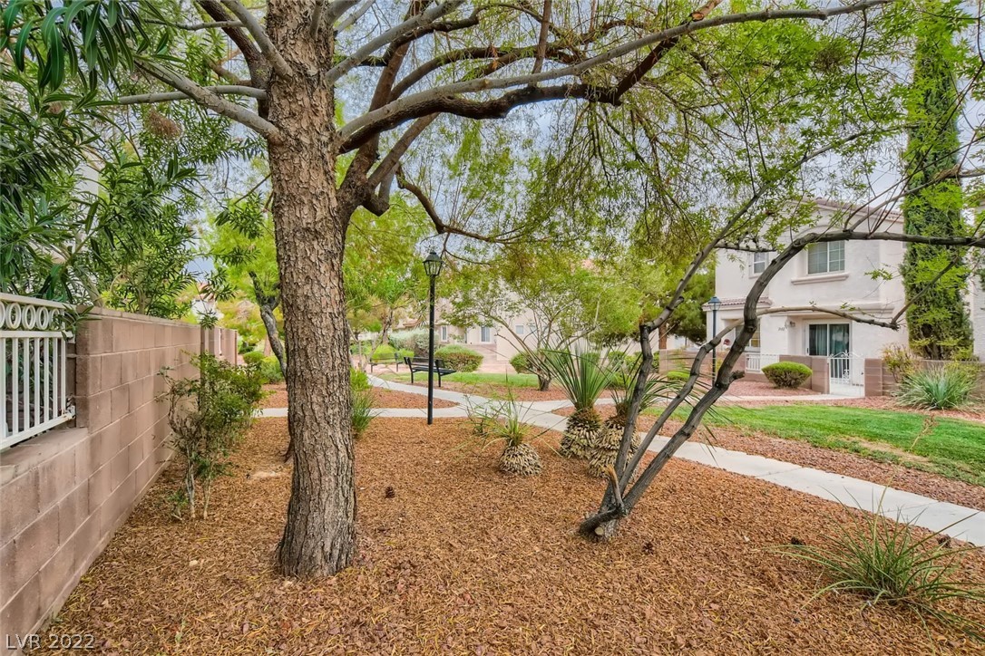 3107 Sunrise Cove Avenue