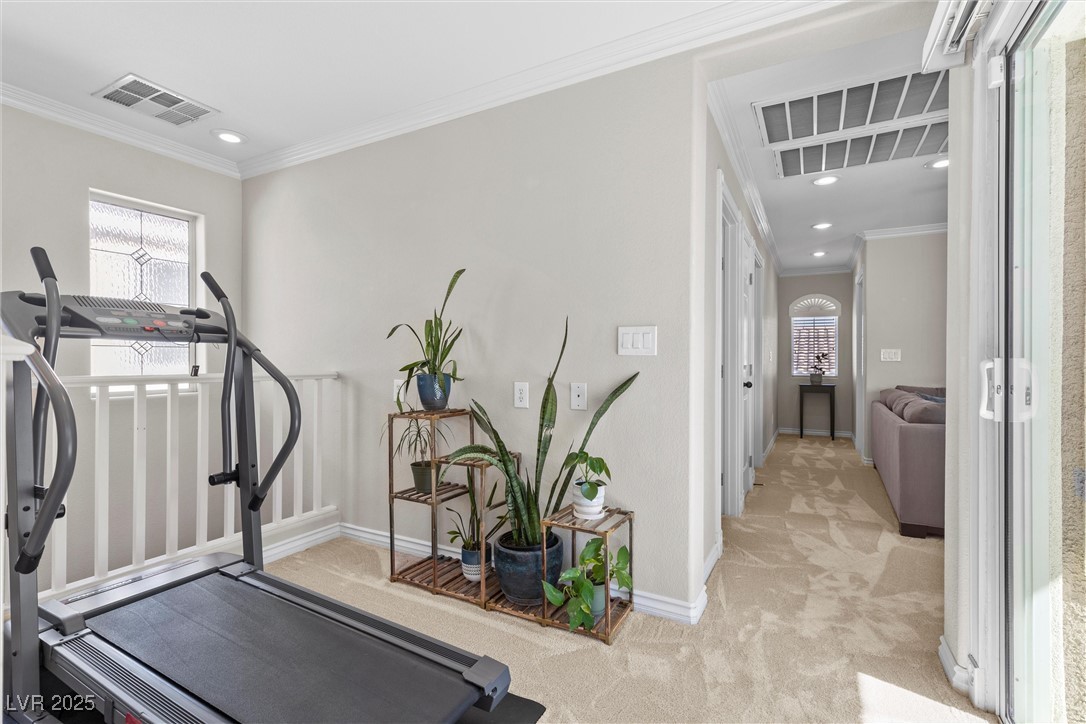 1036 Campo Seco Court