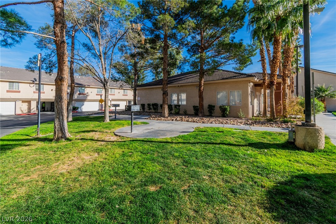1109 Dusty Creek Street