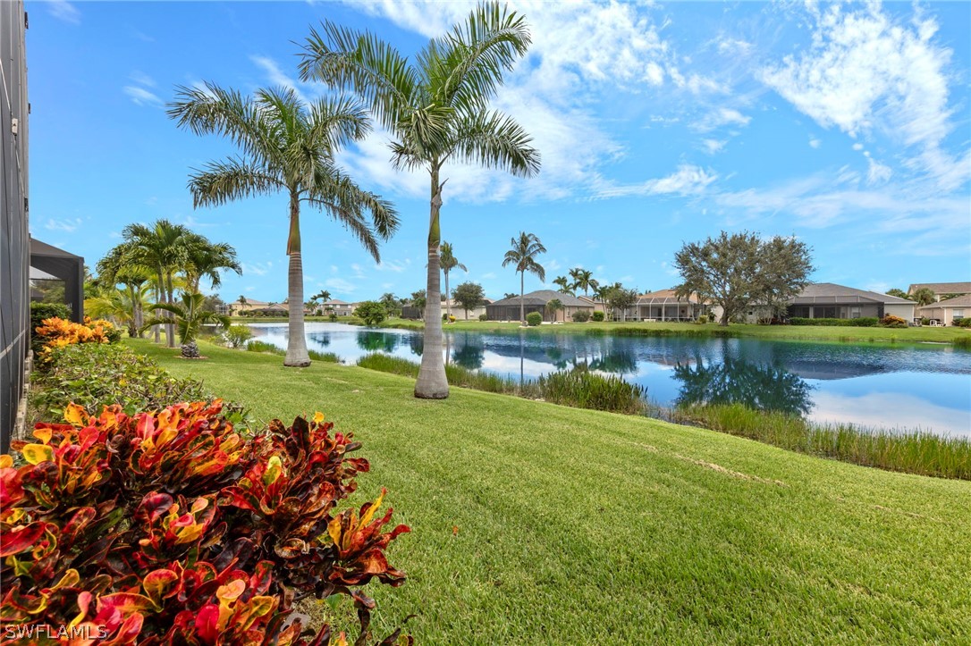 9209 Gladiolus Preserve CIR