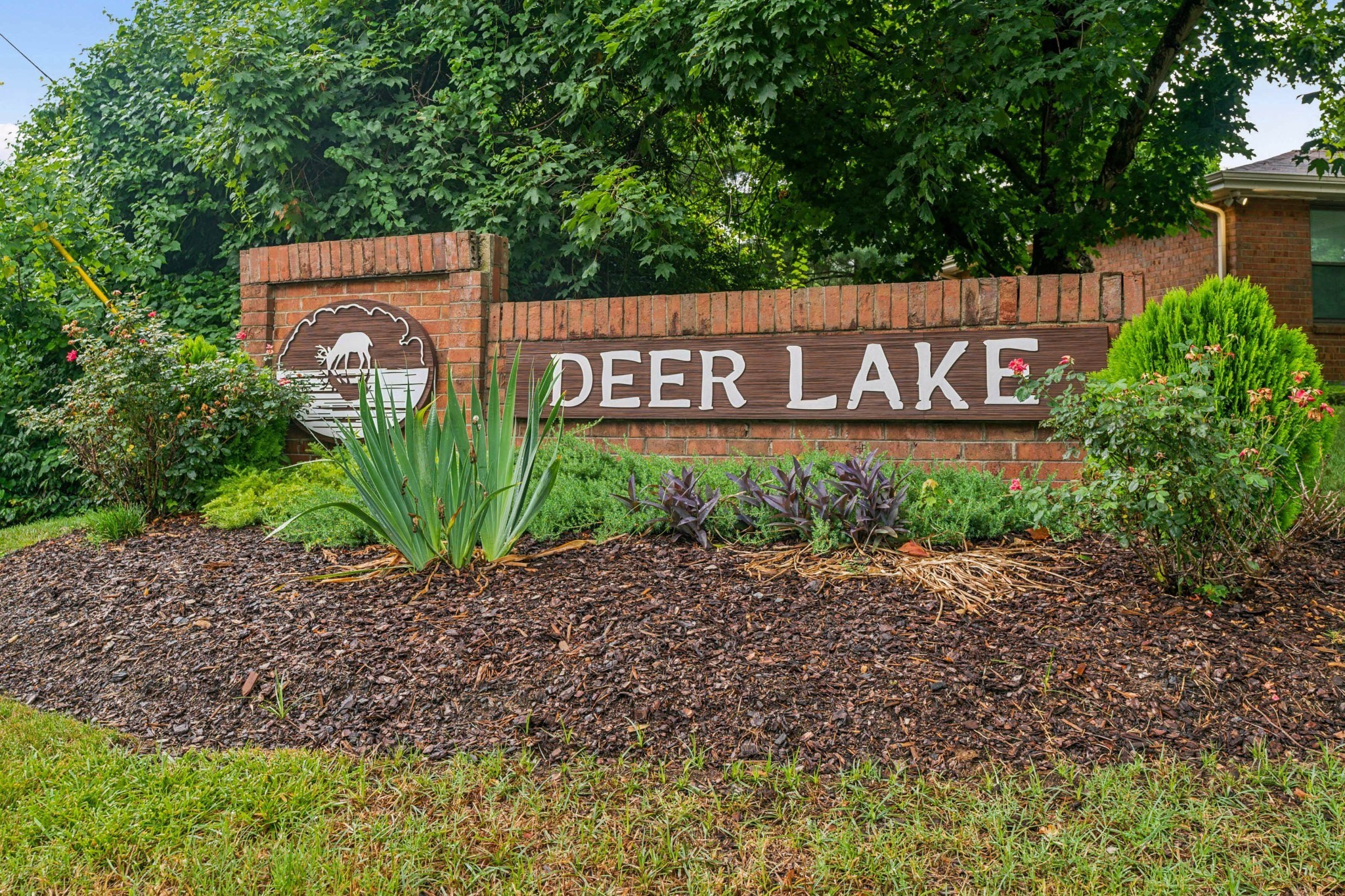 346 Deer Lake Dr
