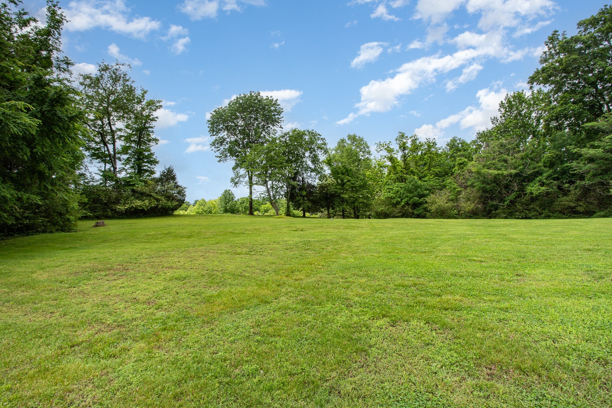 884 Pinnacle Hill Rd