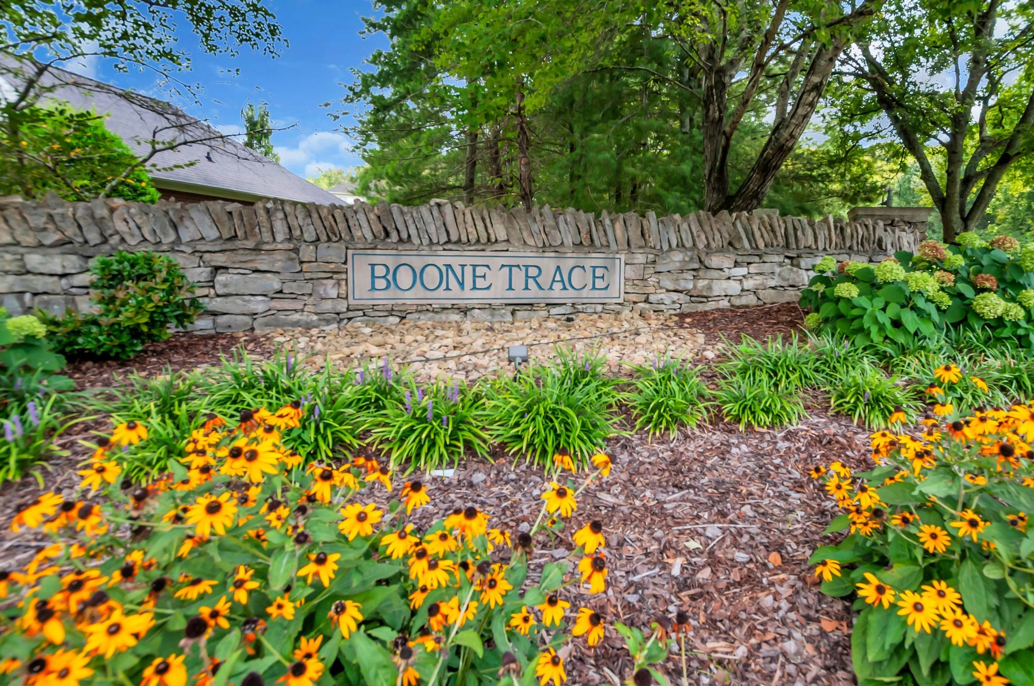7945 Boone Trce