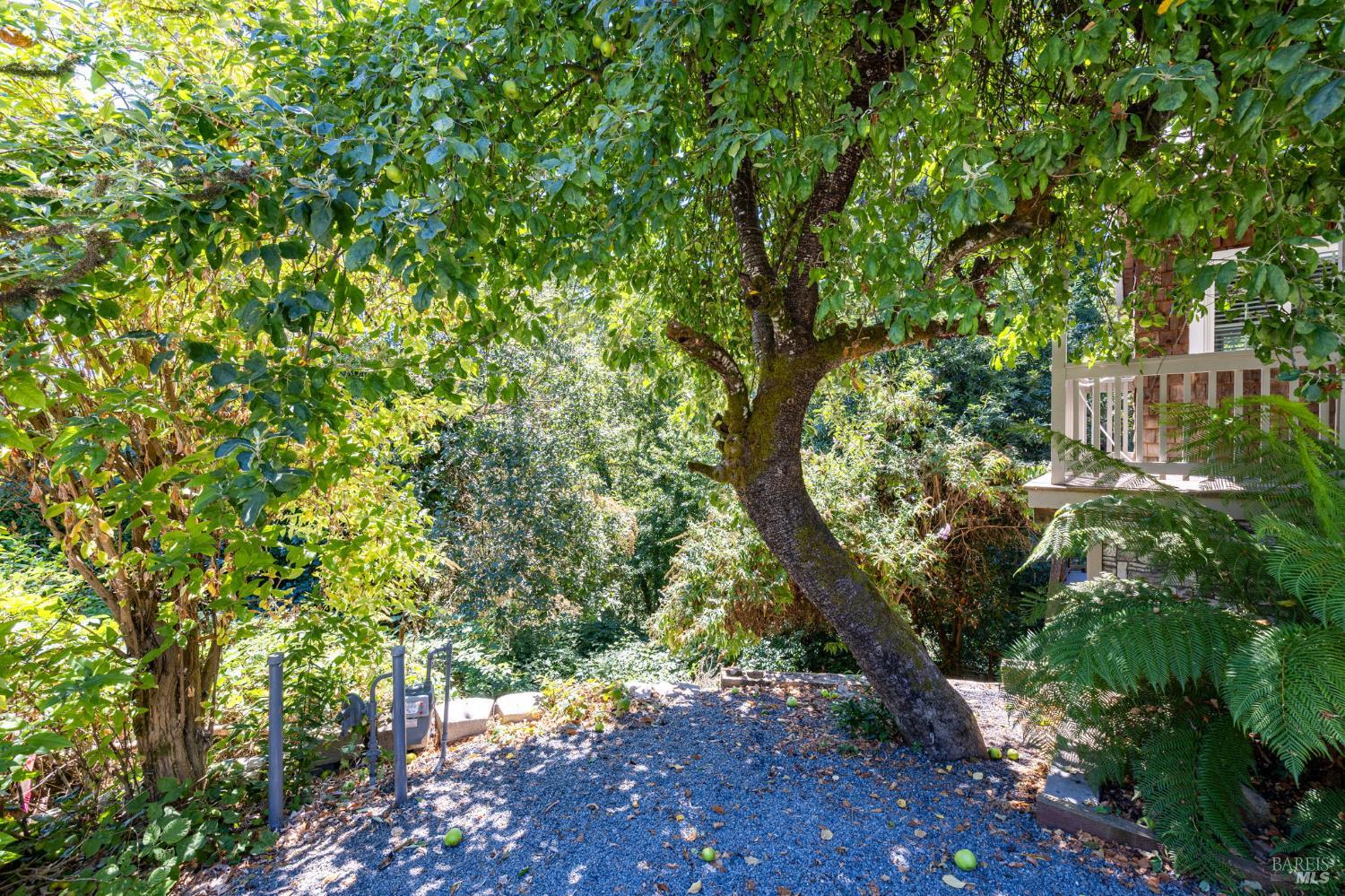 212 Farrell Drive