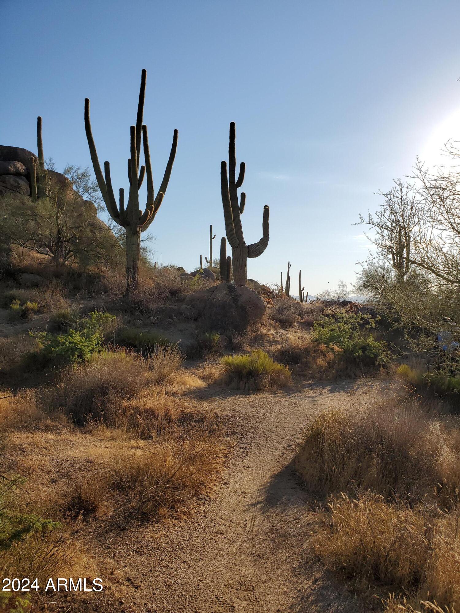 13699 S 177TH Avenue