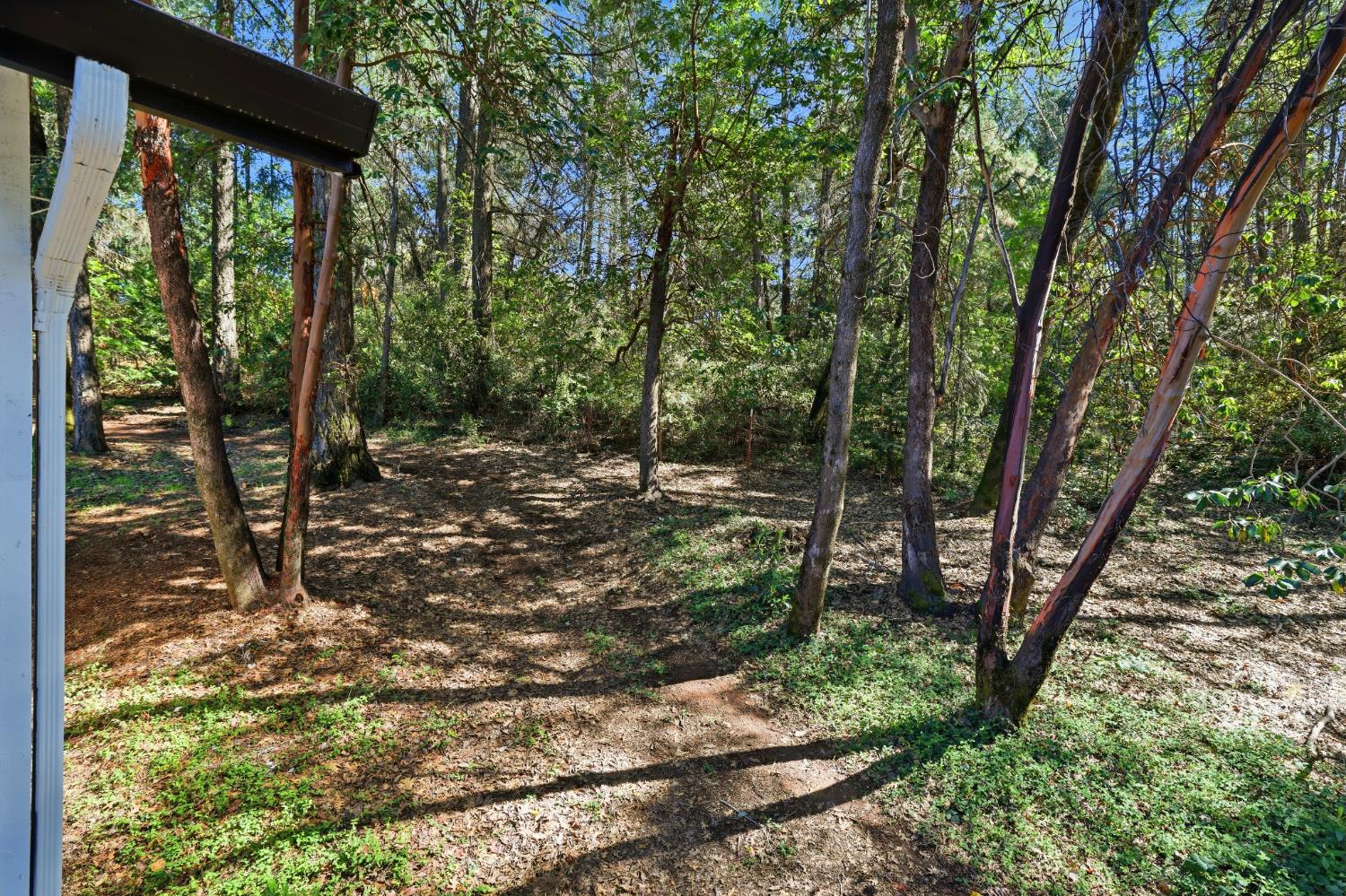 1700 Sanromo Drive