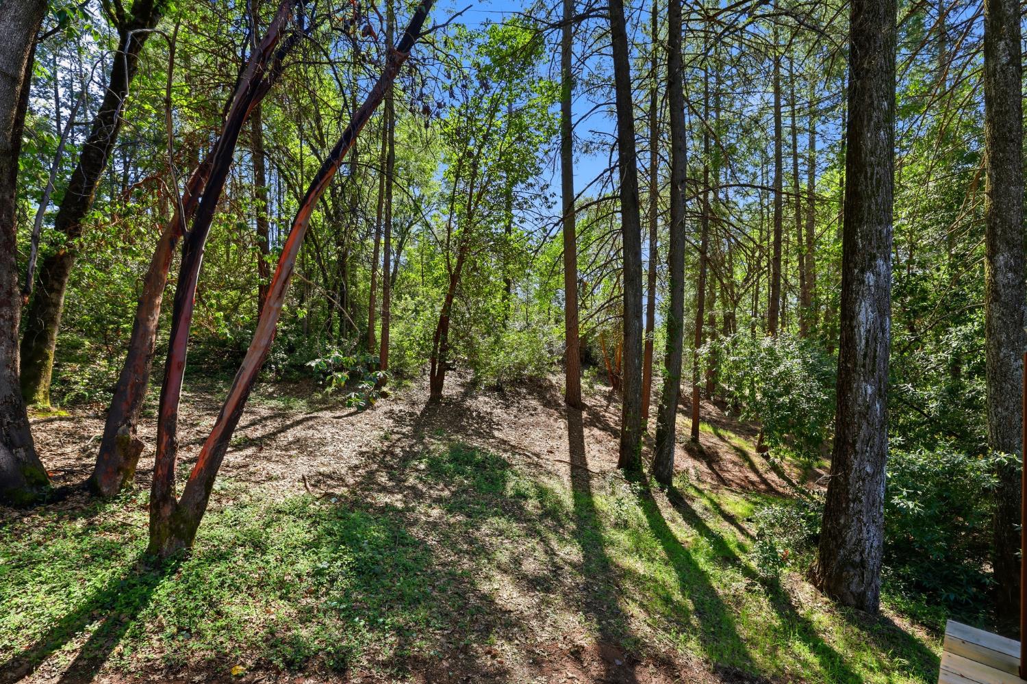 1700 Sanromo Drive