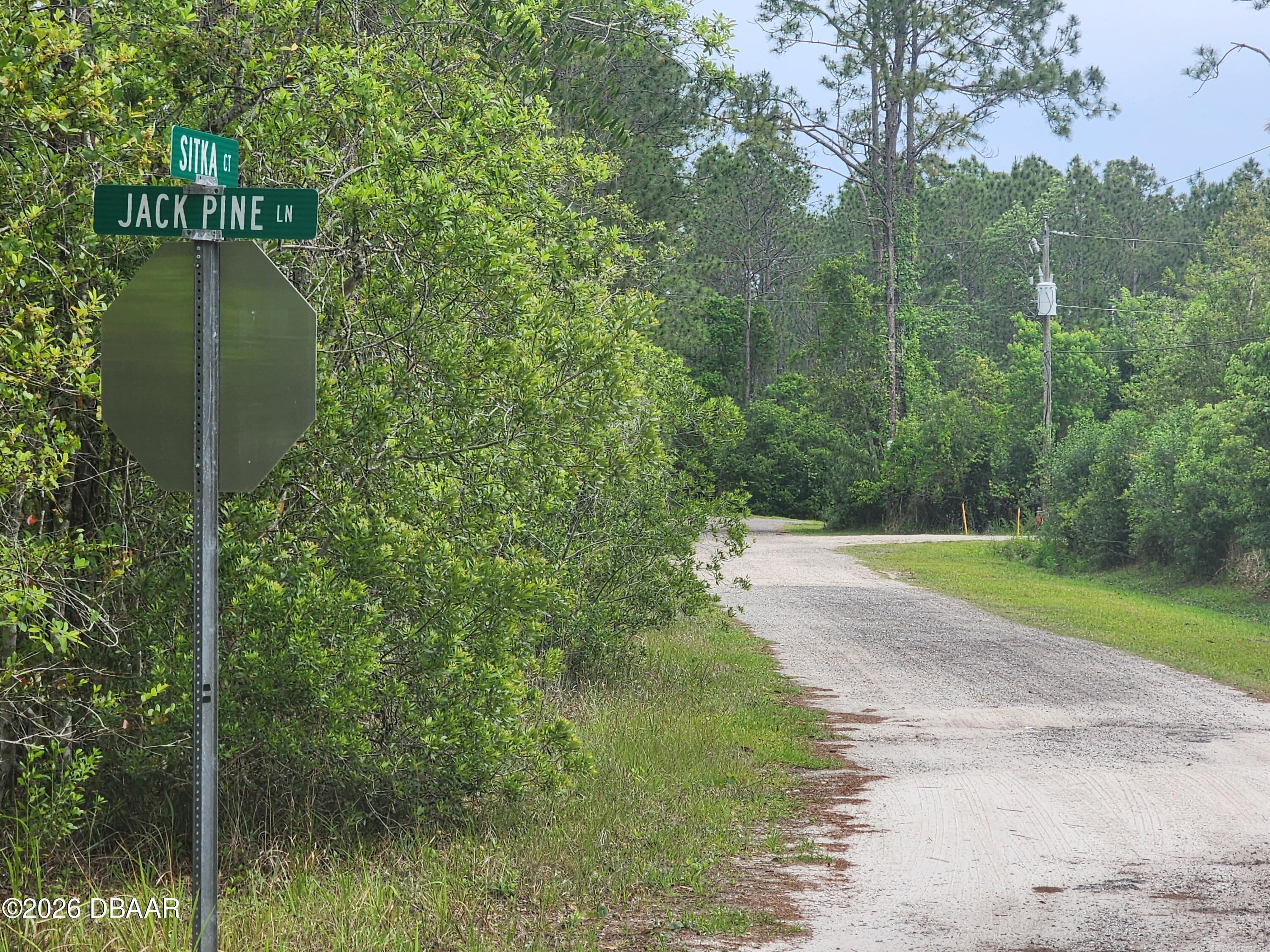 324 Sitka Court