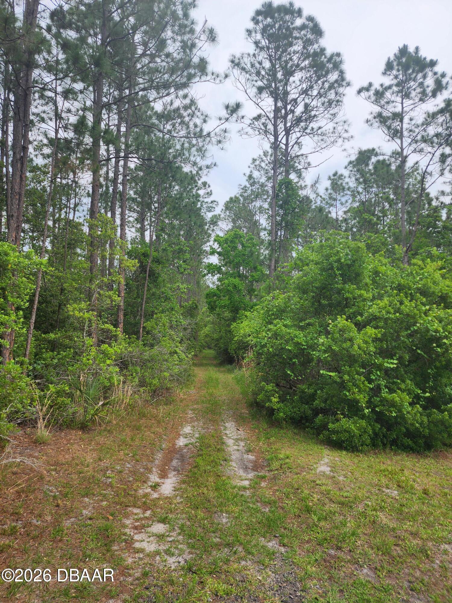 324 Sitka Court