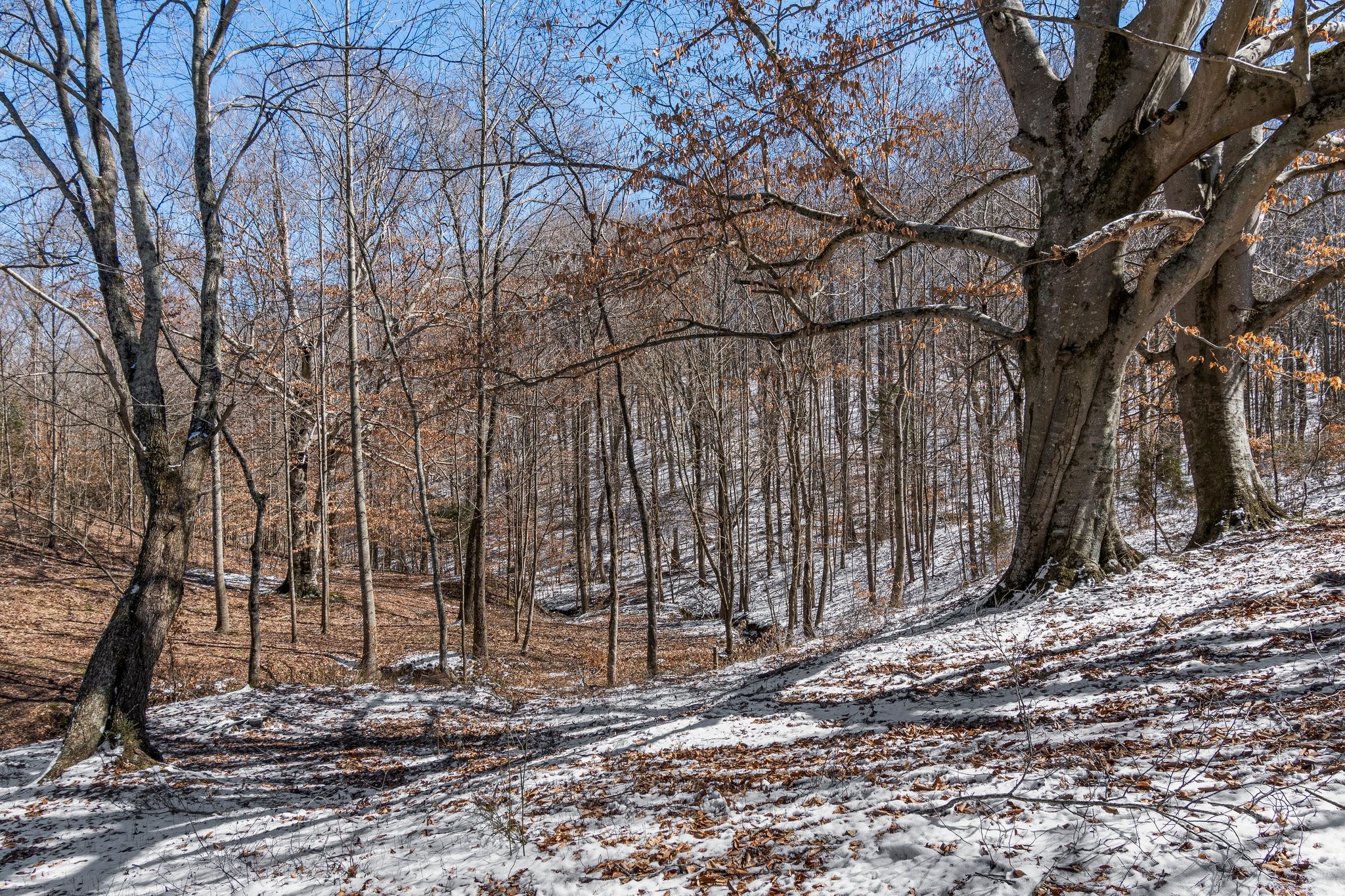 2171 Shuler Branch Rd
