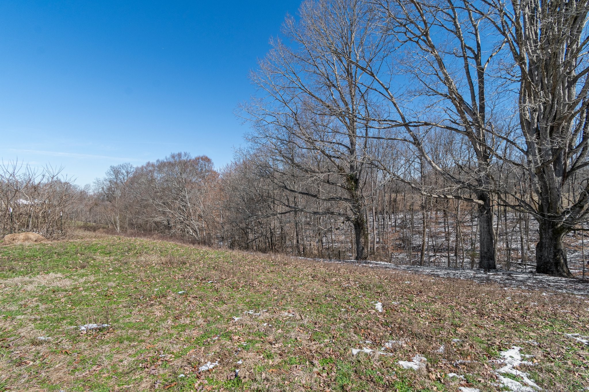 2171 Shuler Branch Rd