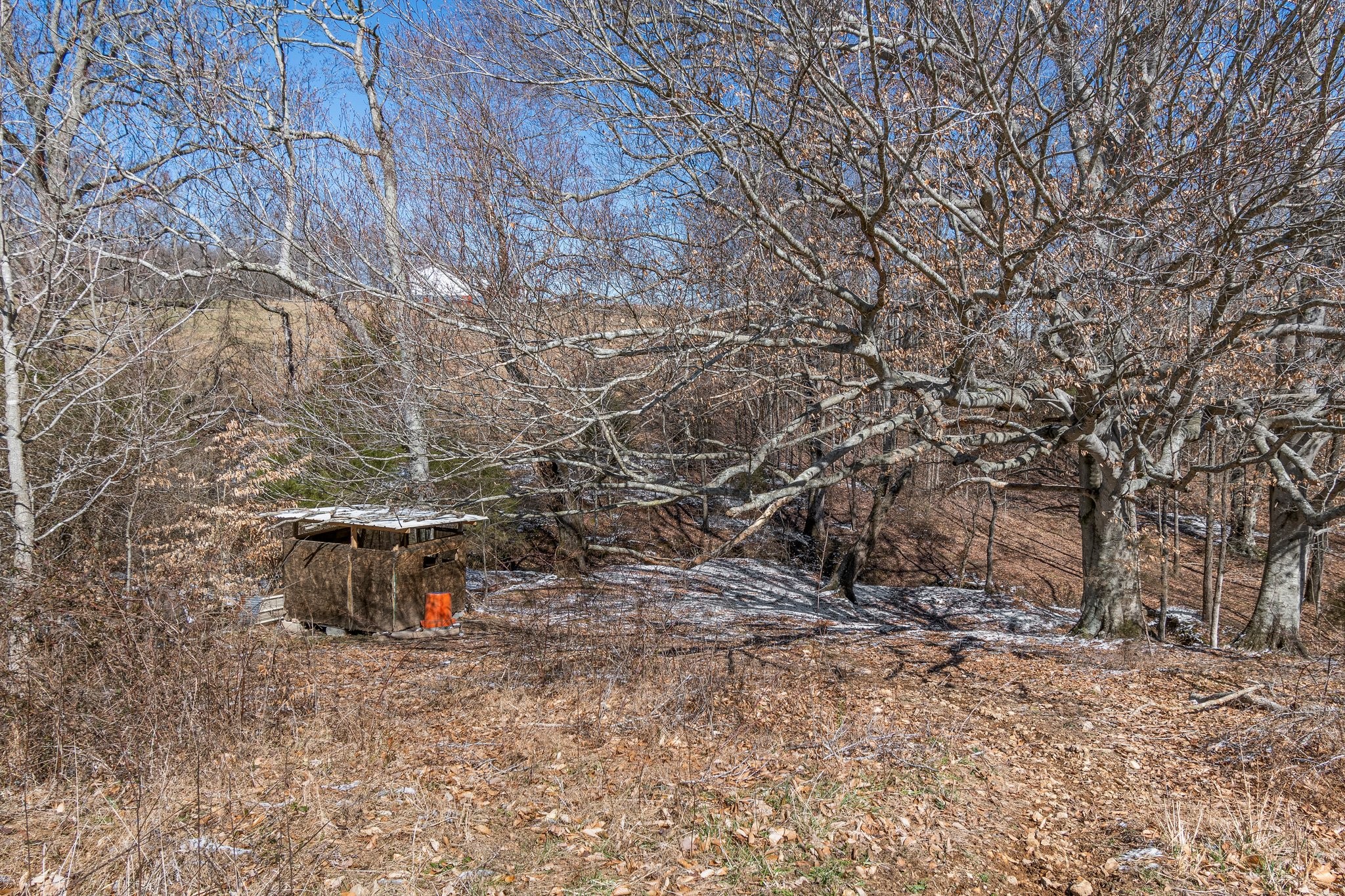 2171 Shuler Branch Rd