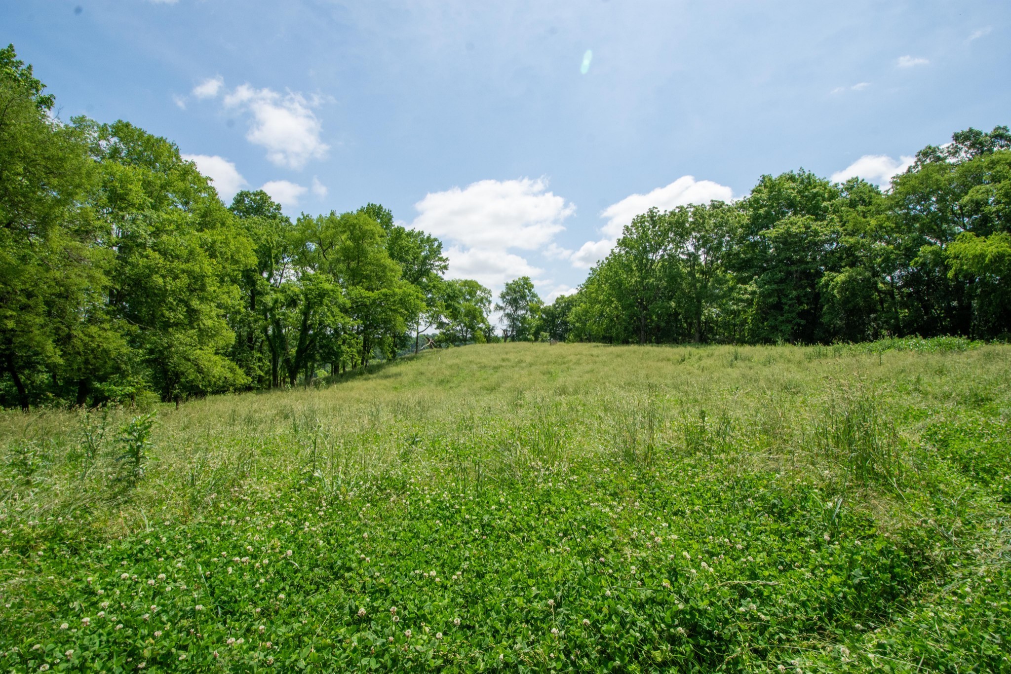 4951 Weakley Creek Rd