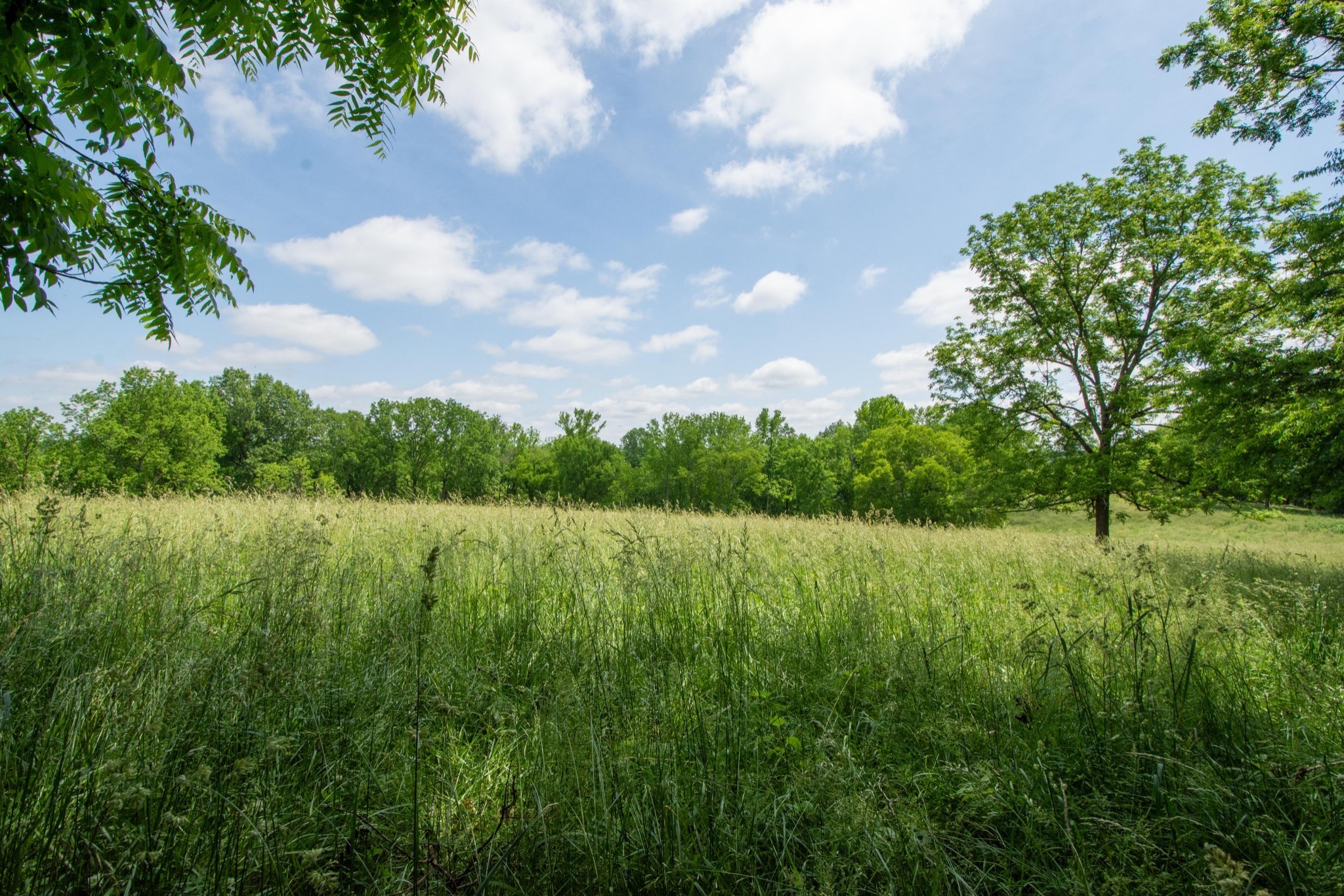 4951 Weakley Creek Rd