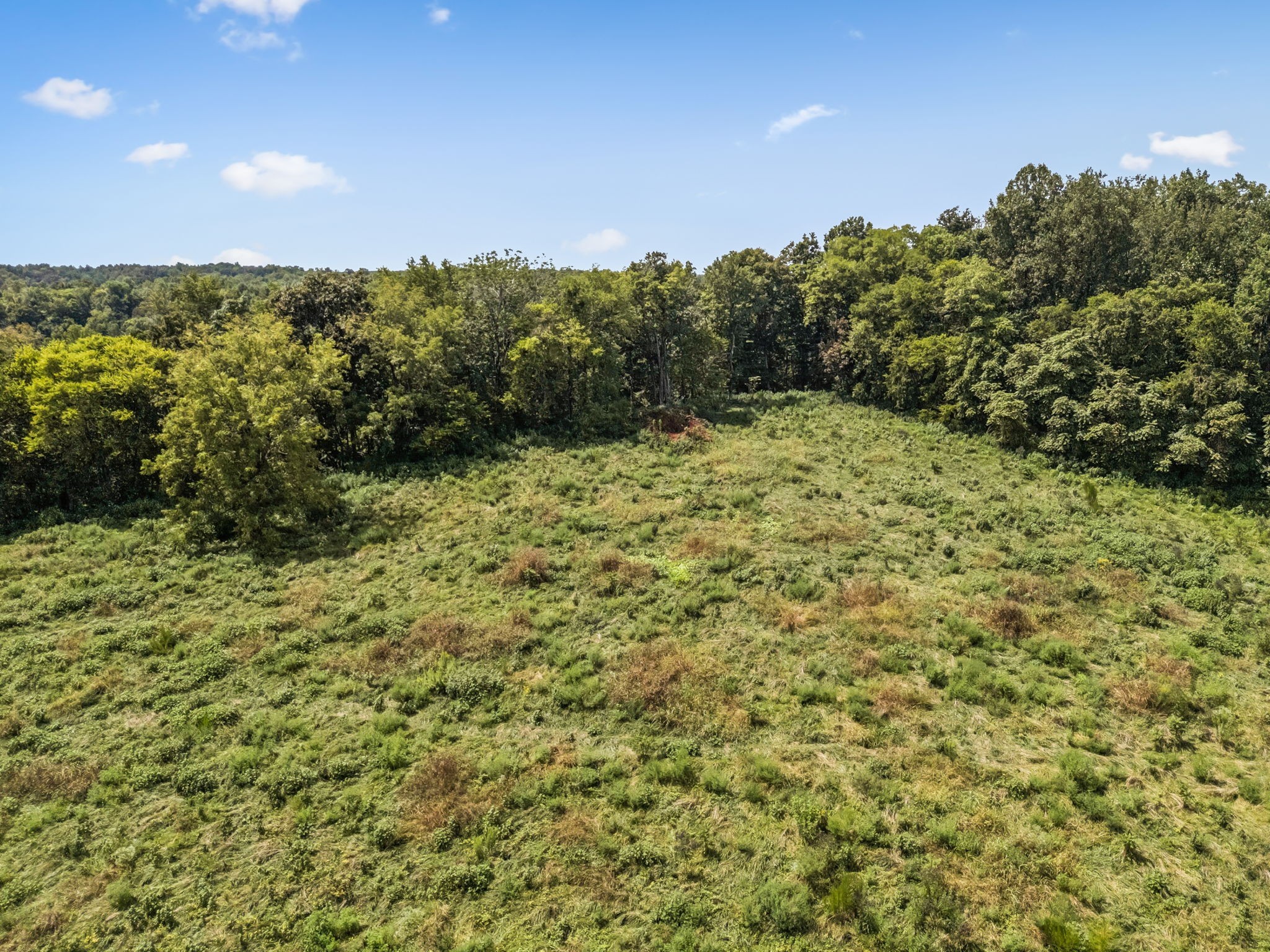 4951 Weakley Creek Rd